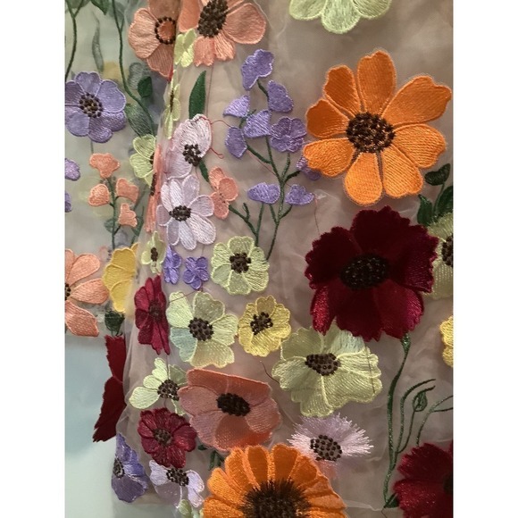 VERY RETRO VERY BOHO EMBROIDERY AND APPLIQUÉ ON FINE NETTING MINI DRESS M NWOT - Picture 10 of 13